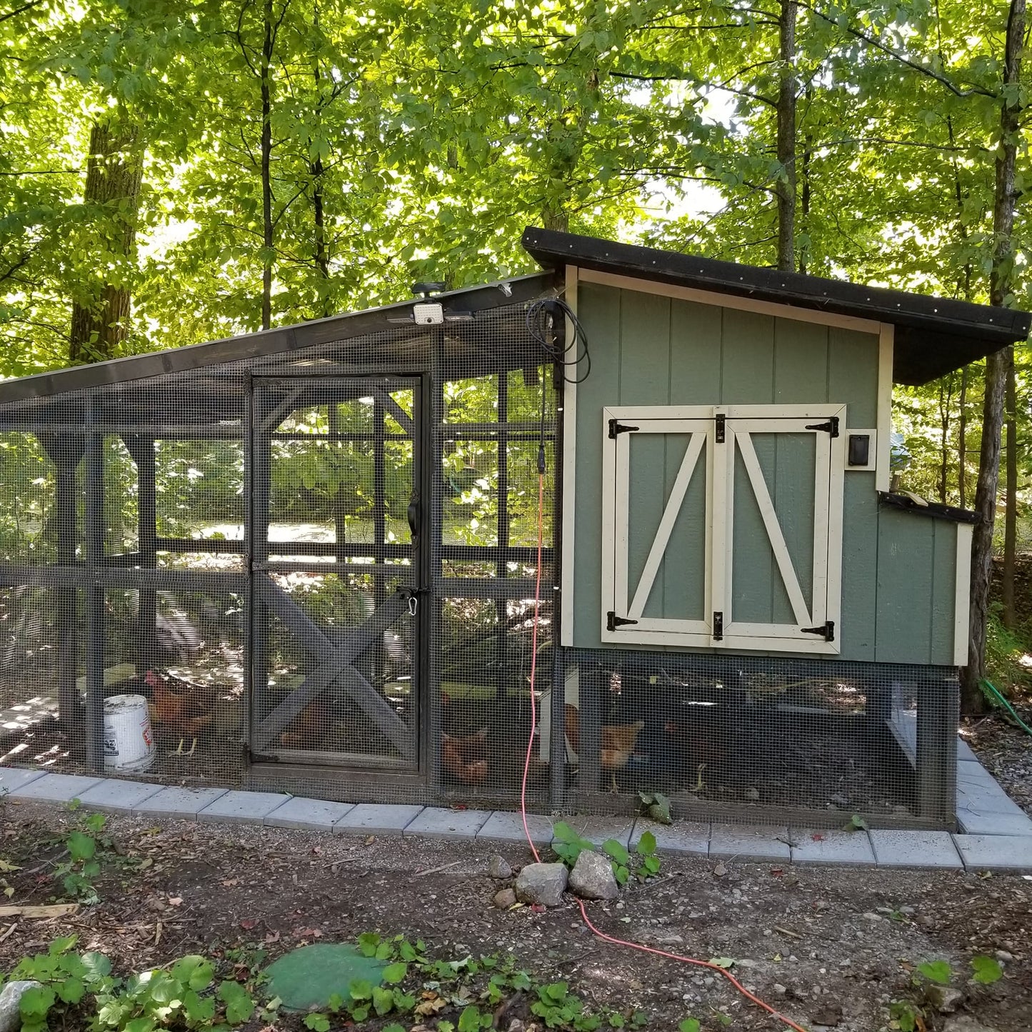 heaters for chicken coops to keep animals warm