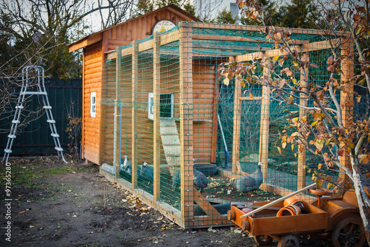 Keeping Your Chickens Coop Cozy in Winter with Xtreme Heaters