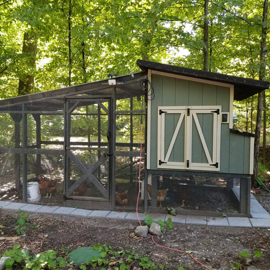 Keeping the Coop Cozy: How One Farmer Beat the Coldest Winter in 20 Years with Xtreme Heaters